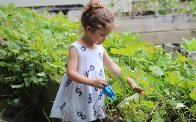 Családi útmutató – így kertészkedj a gyerekkel